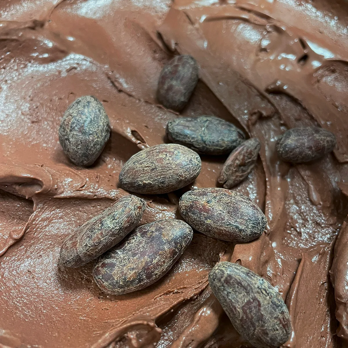 _il gelato fondente